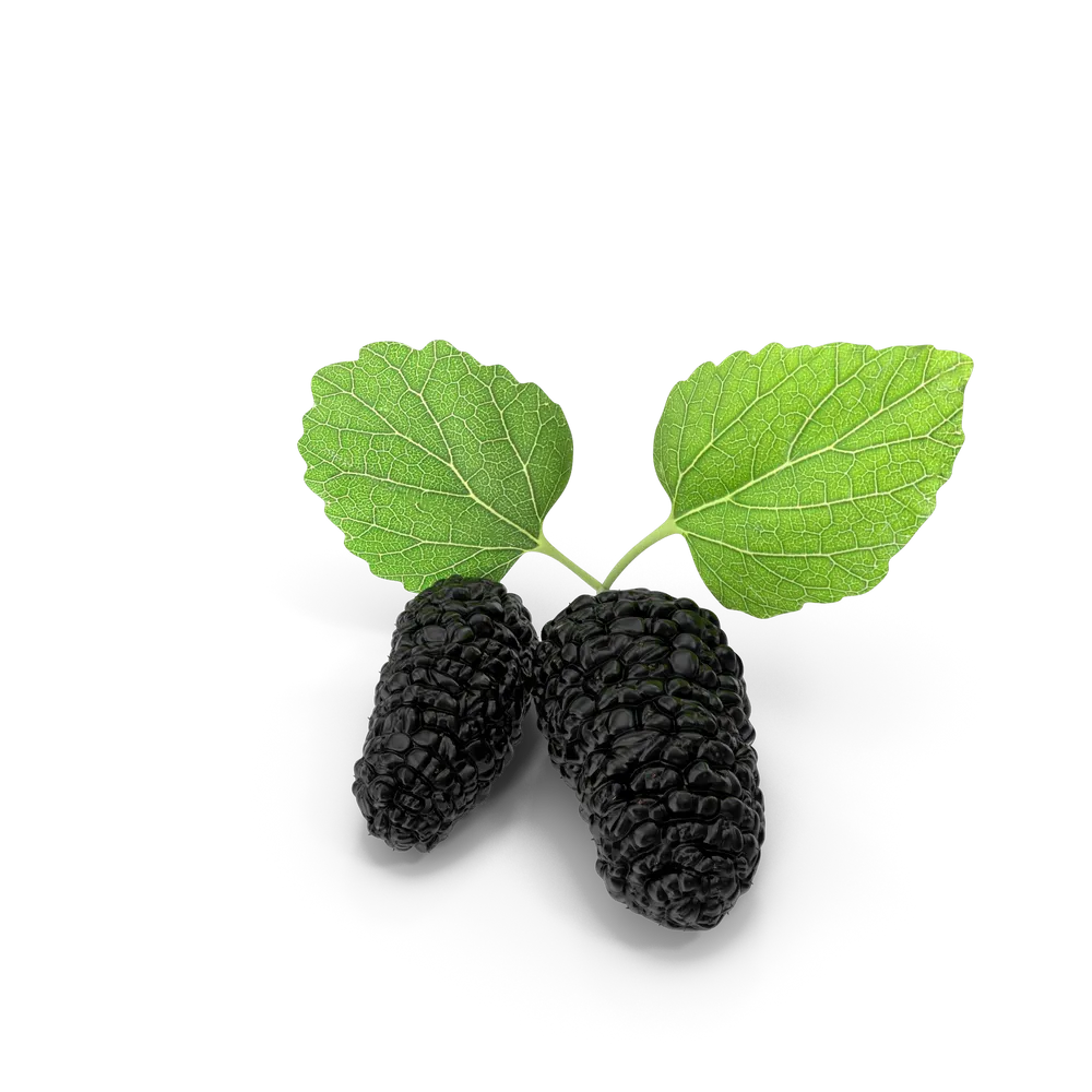 Fruits