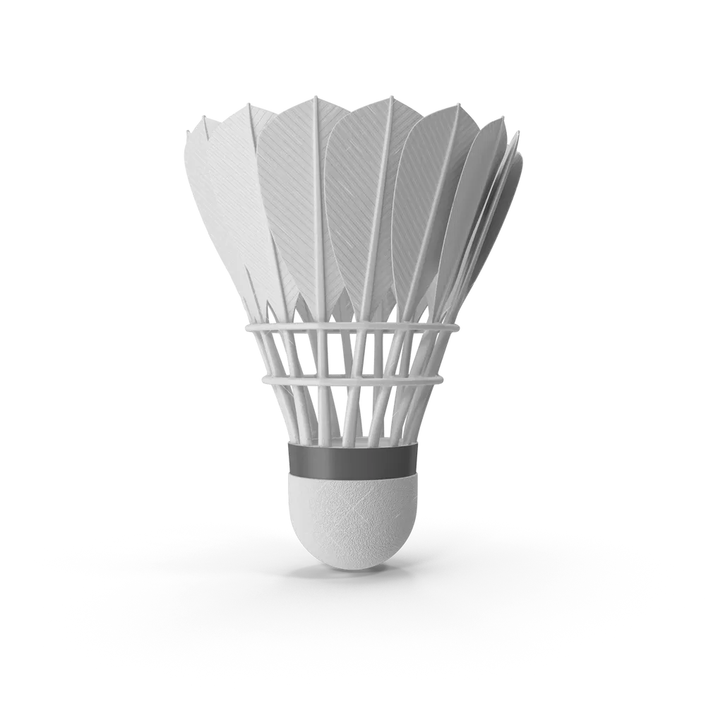 Badminton