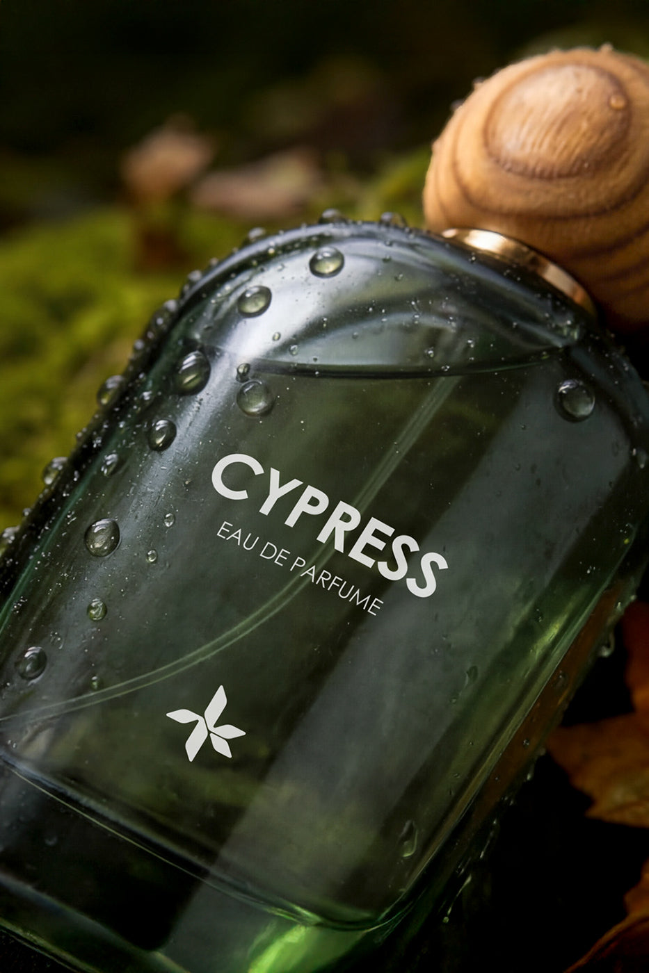 CYPRESS view 4