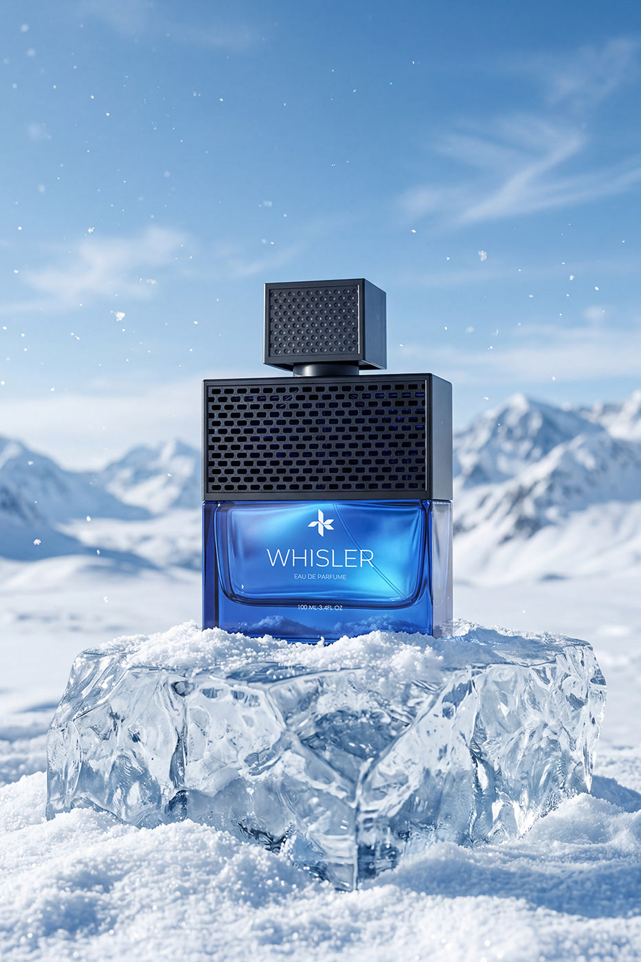WHISLER view 4
