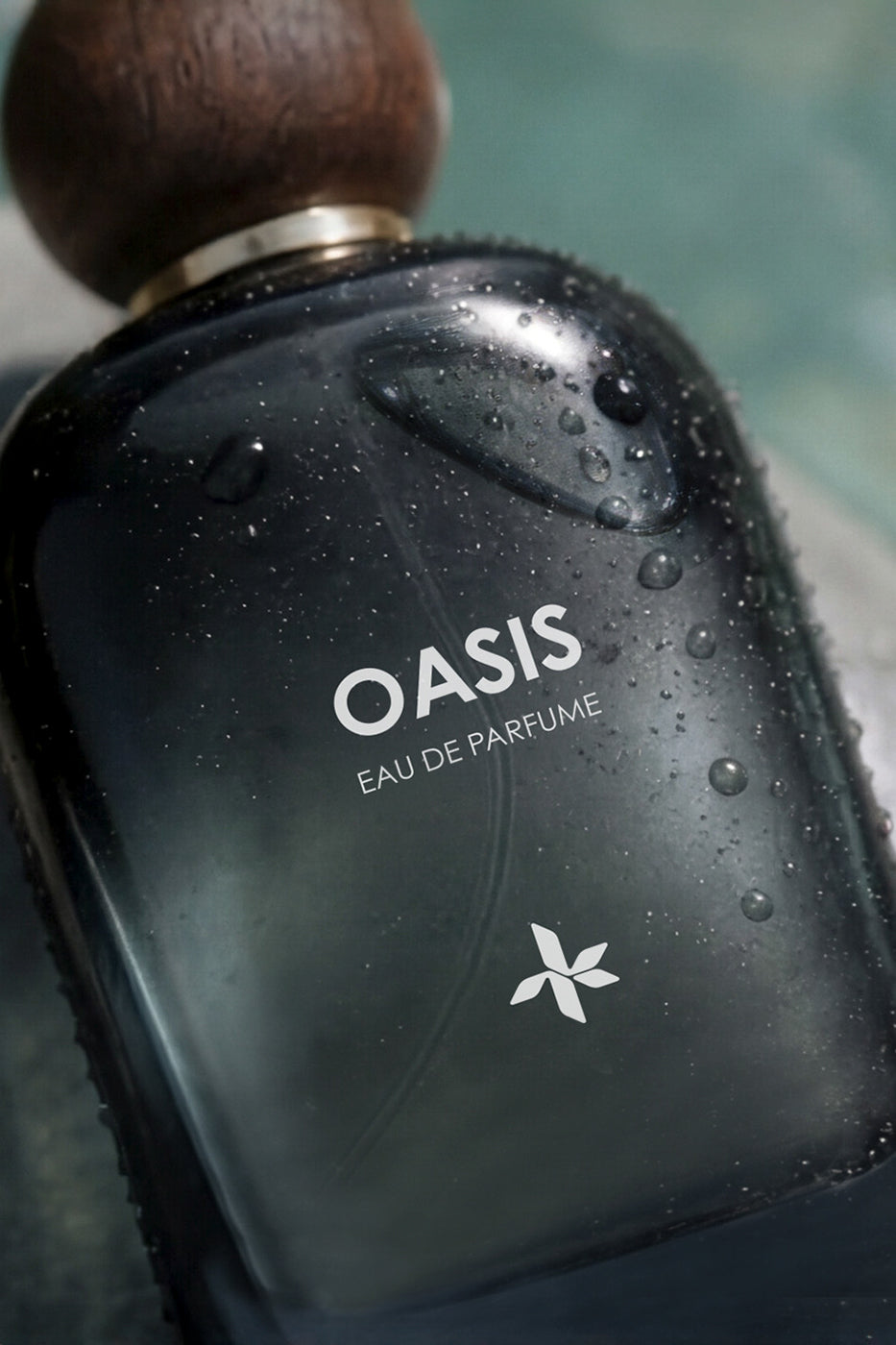 OASIS alternate view