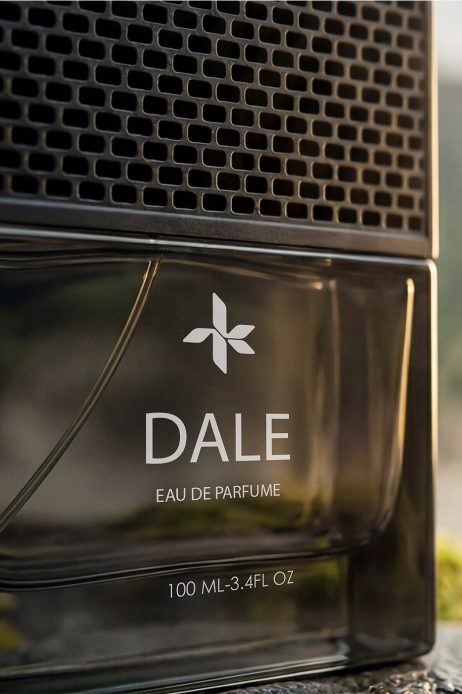 DALE alternate view
