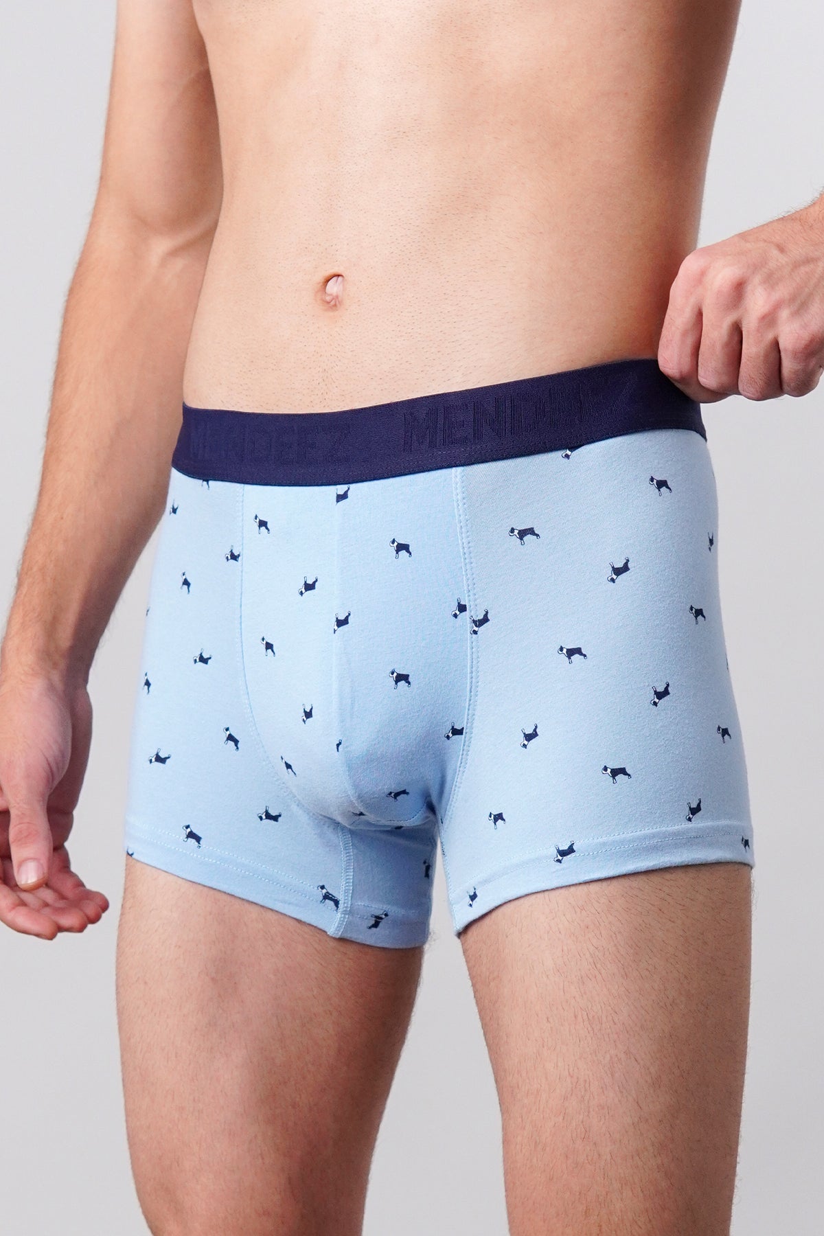 Dog Printed Boxer Trunks - Sky Blue