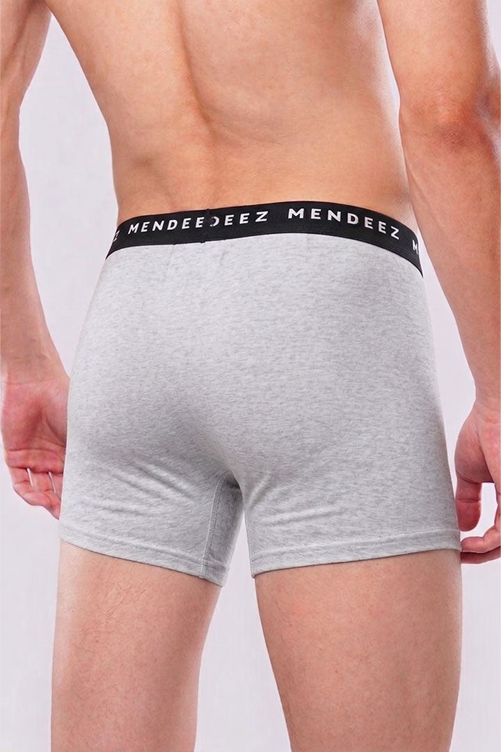 Boxer Trunk - Light Grey - FA alternate view