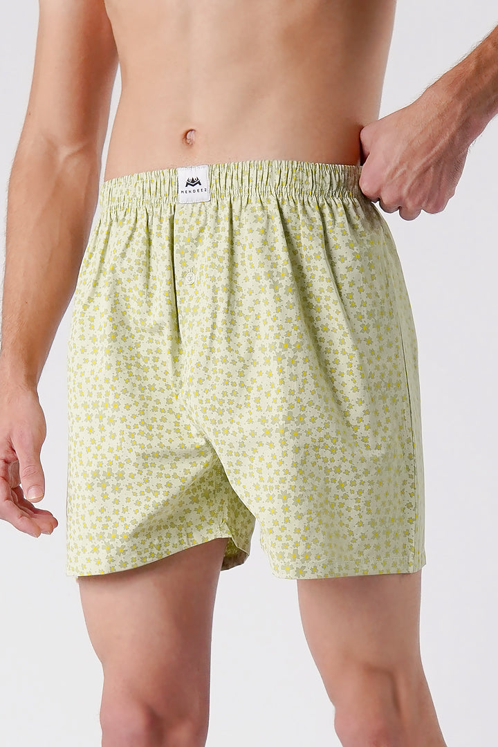 Printed Woven Boxer Shorts - Sage Green