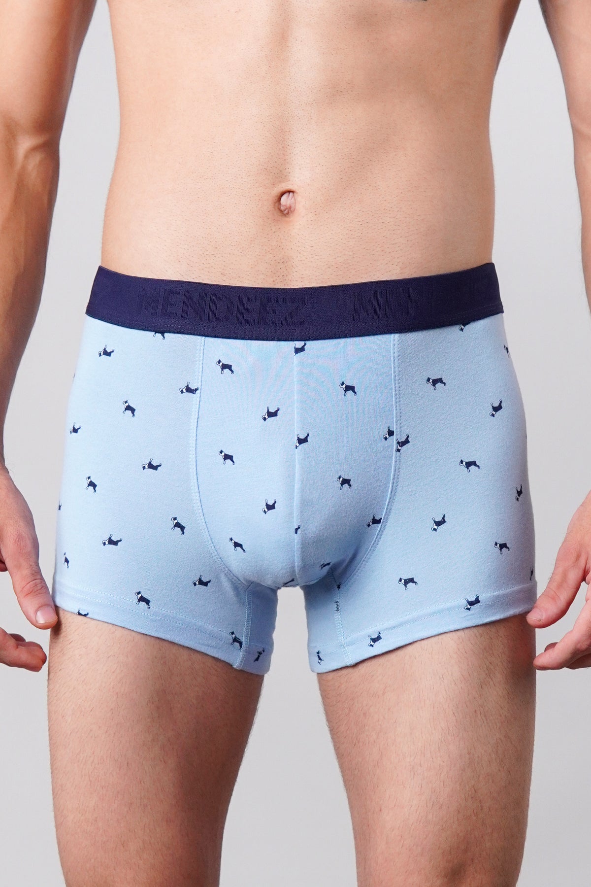 Dog Printed Boxer Trunks - Sky Blue