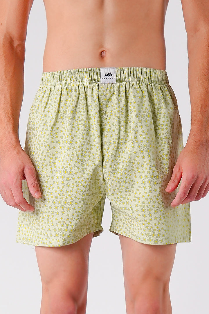 Printed Woven Boxer Shorts - Sage Green