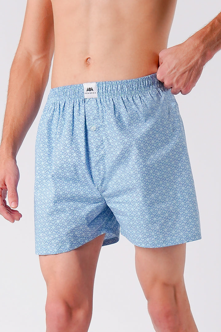 Printed Woven Boxer Shorts - Powder Blue