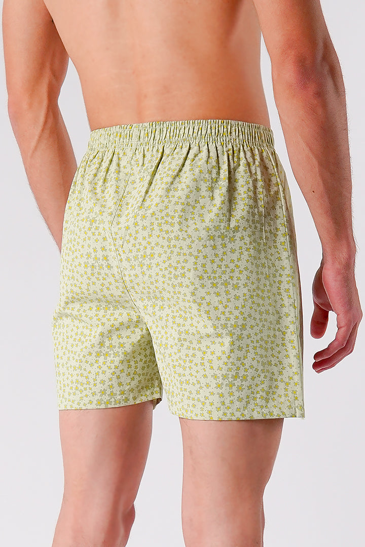 Printed Woven Boxer Shorts - Sage Green alternate view