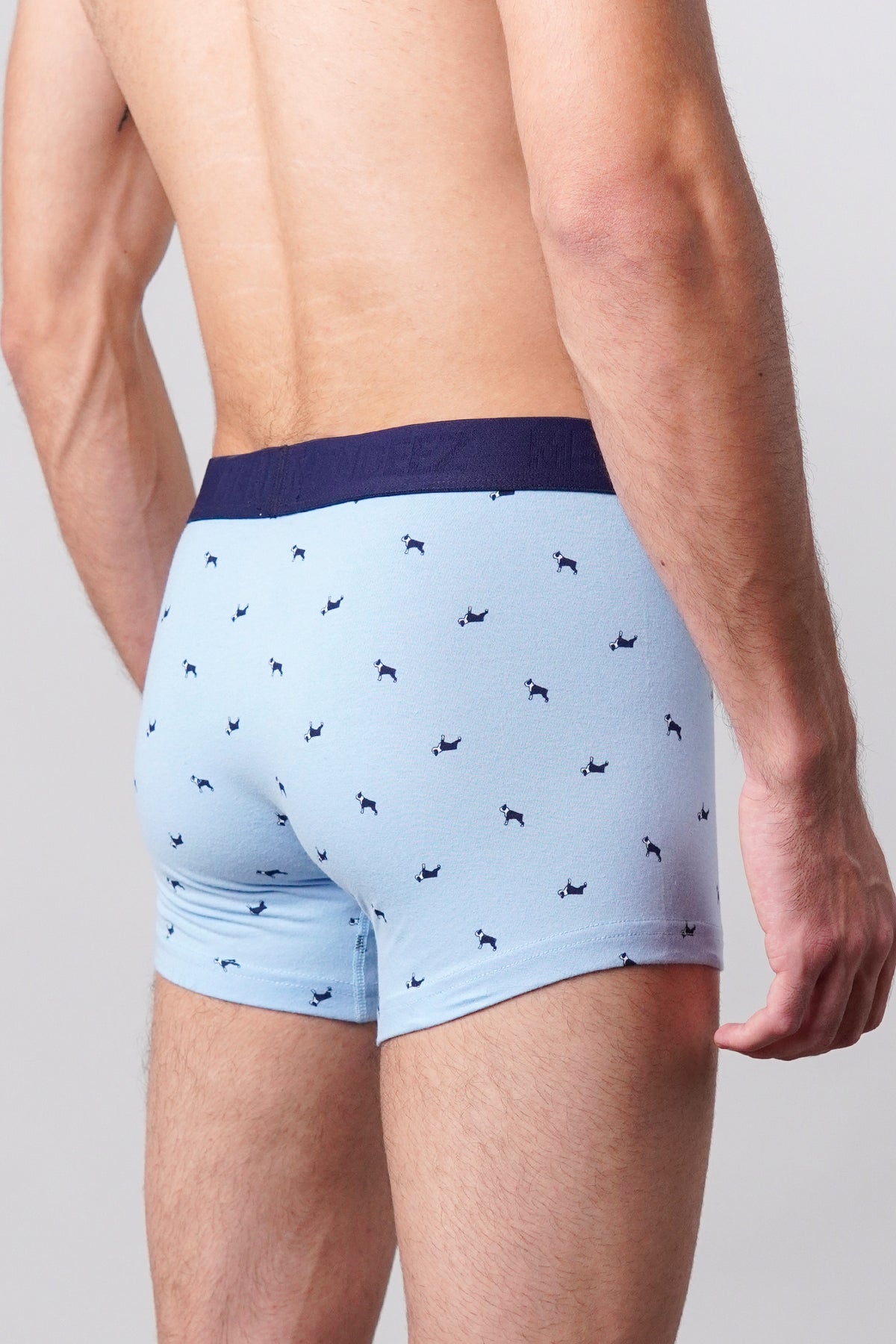 Dog Printed Boxer Trunks - Sky Blue alternate view