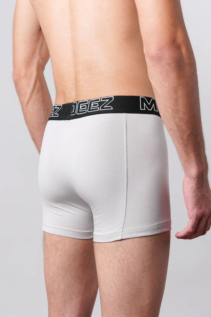 Boxer Trunk - Light Grey - FA alternate view