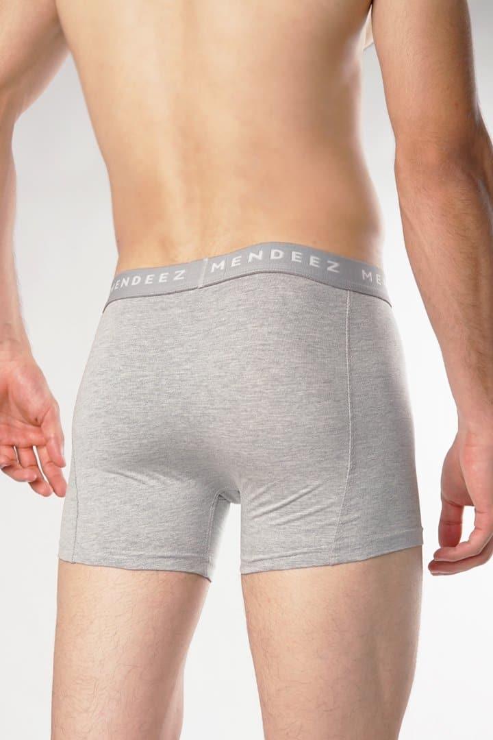 Boxer Briefs - Heather Grey alternate view